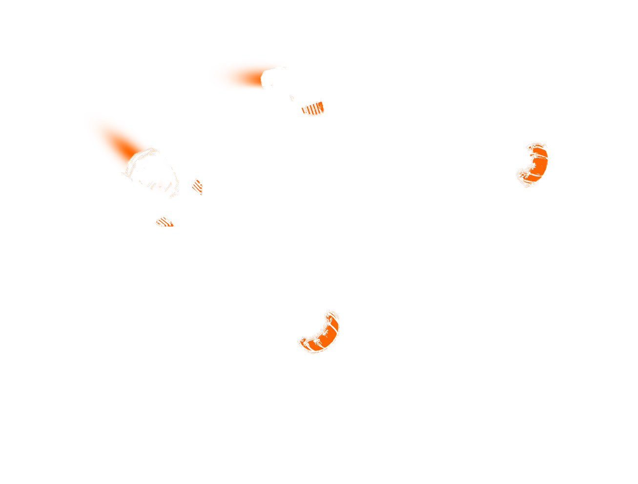 Stilisierte Darstellung der "Vanguard Sentinel"